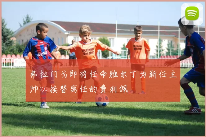 弗拉门戈即将任命雅尔丁为新任主帅以接替离任的费利佩