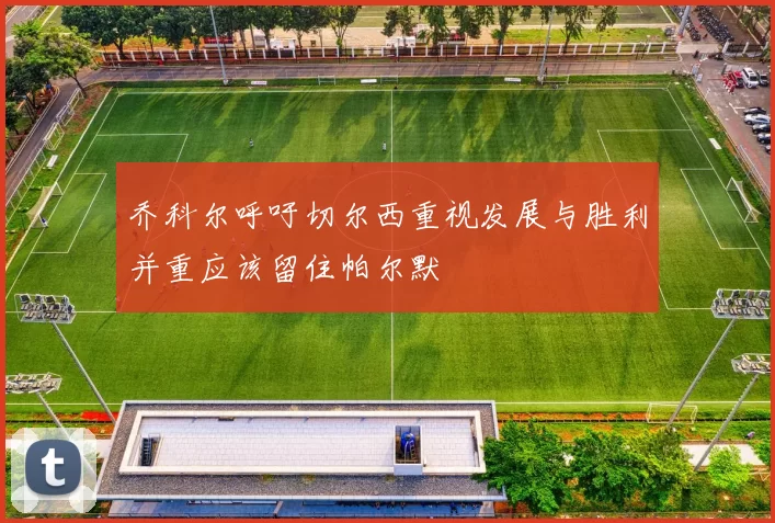 乔科尔呼吁切尔西重视发展与胜利并重应该留住帕尔默