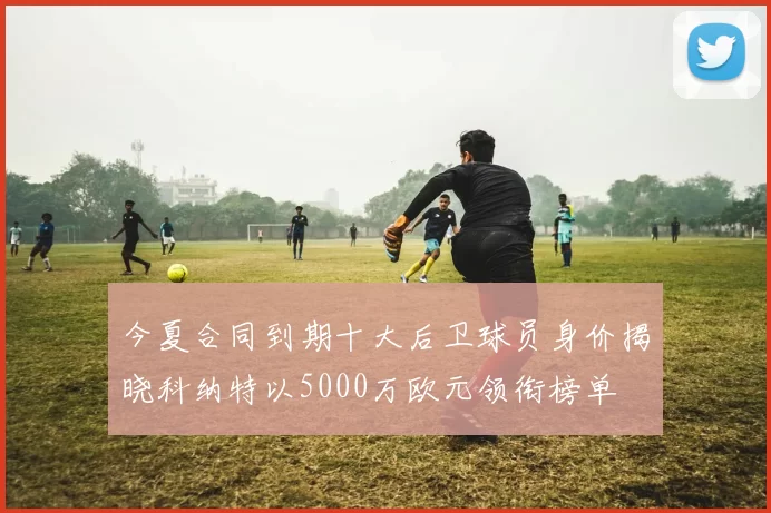 今夏合同到期十大后卫球员身价揭晓科纳特以5000万欧元领衔榜单