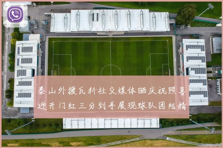 泰山外援瓦科社交媒体晒庆祝照喜迎开门红三分到手展现球队团结精神